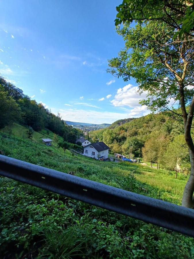Ferienwohnung Neli Am Rhein Rheinbrohl Экстерьер фото