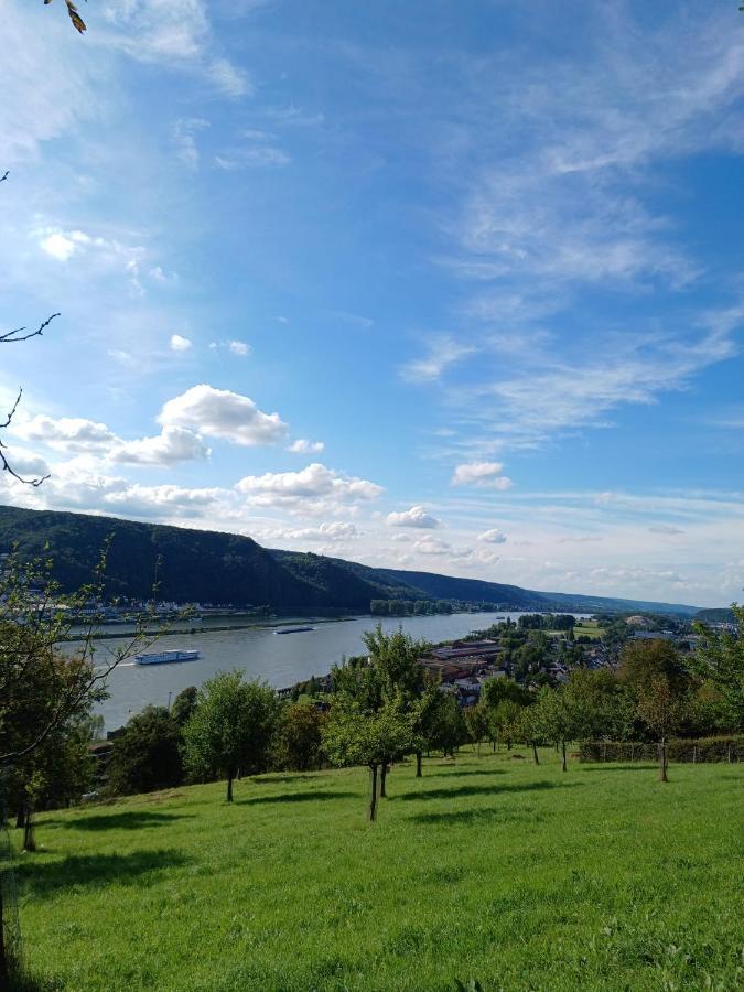 Ferienwohnung Neli Am Rhein Rheinbrohl Экстерьер фото