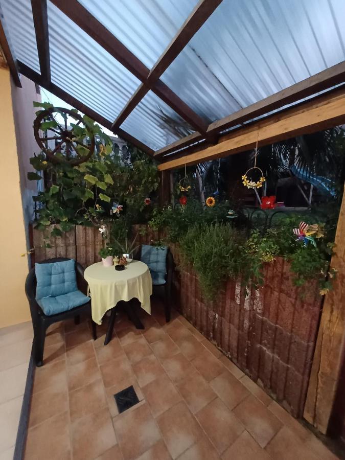 Ferienwohnung Neli Am Rhein Rheinbrohl Экстерьер фото