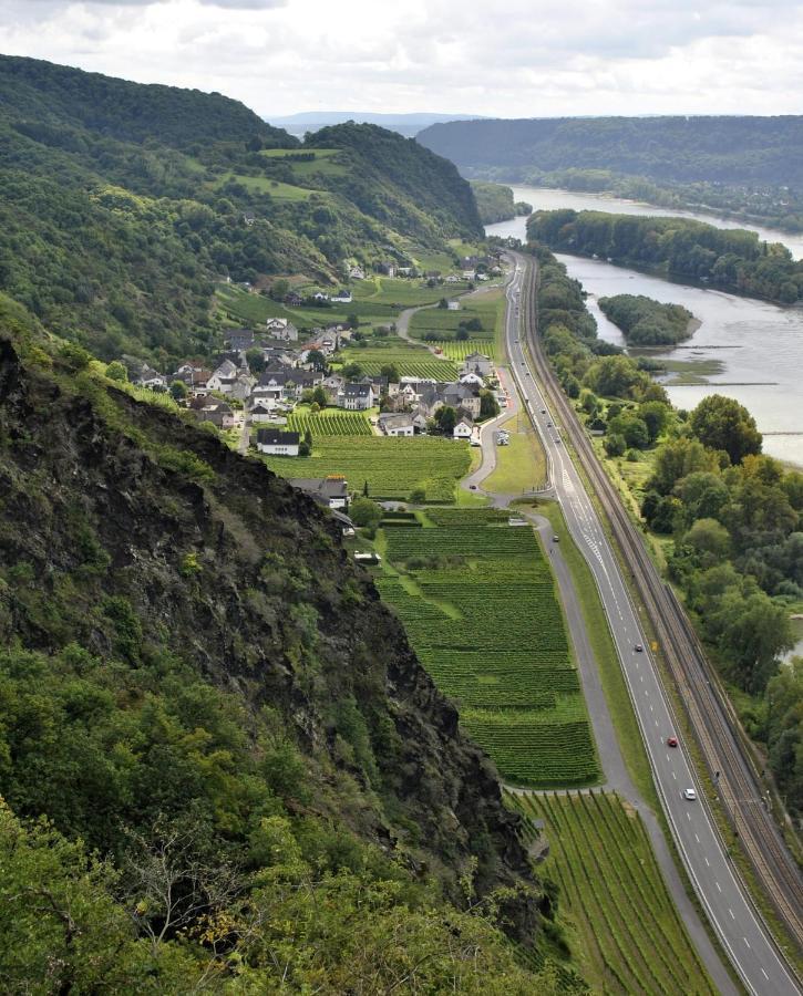 Ferienwohnung Neli Am Rhein Rheinbrohl Экстерьер фото