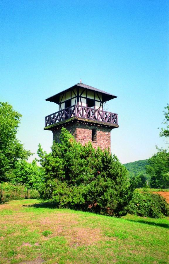 Ferienwohnung Neli Am Rhein Rheinbrohl Экстерьер фото
