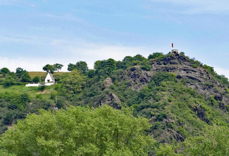 Ferienwohnung Neli Am Rhein Rheinbrohl Экстерьер фото