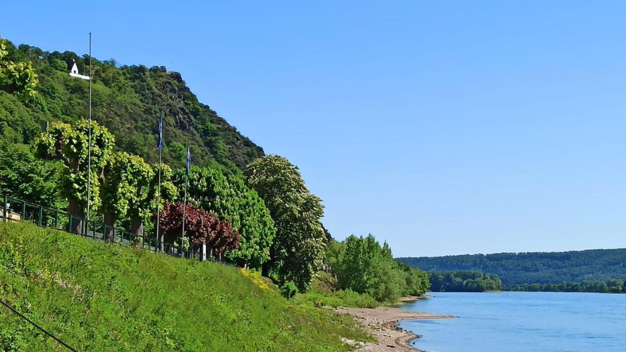 Ferienwohnung Neli Am Rhein Rheinbrohl Экстерьер фото
