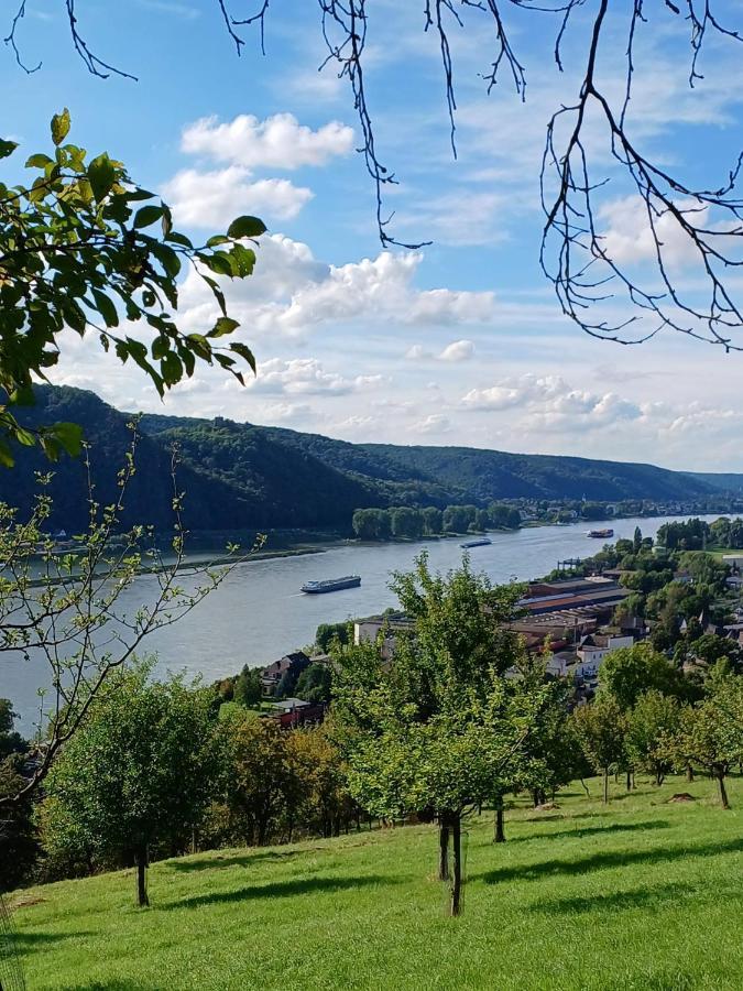 Ferienwohnung Neli Am Rhein Rheinbrohl Экстерьер фото